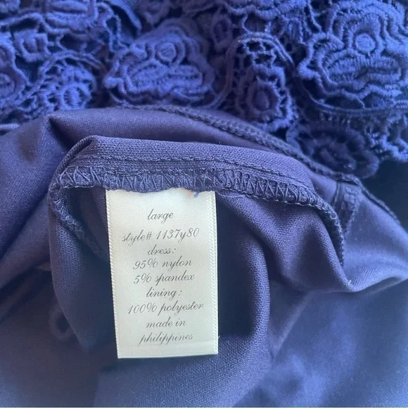 Francesca’s Blue Rain Navy Lace Mini Dress - Picture 16 of 16